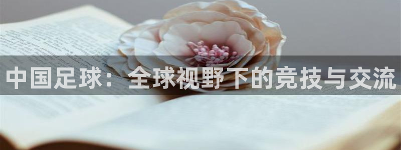 中国足球：全球视野下的竞技与交流