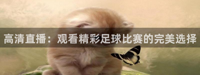  高清直播：观看精彩足球比赛的完美选择