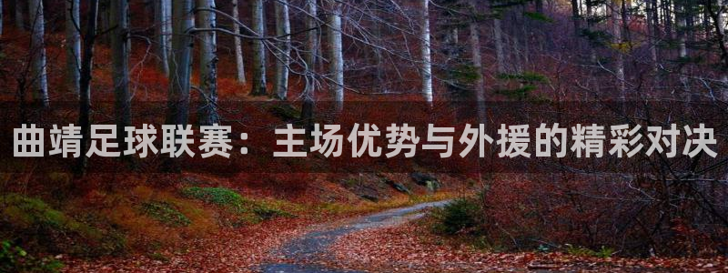  曲靖足球联赛：主场优势与外援的精彩对决