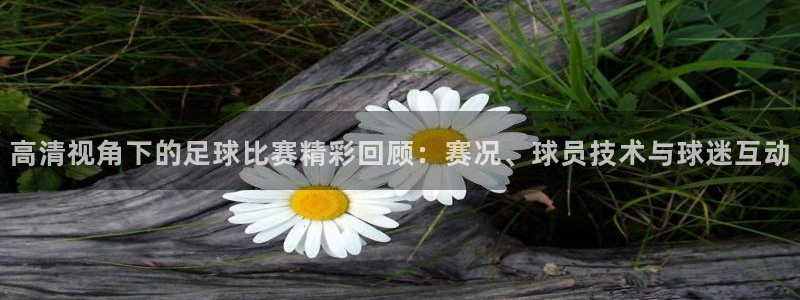  高清视角下的足球比赛精彩回顾：赛况、球员技术与球迷互动