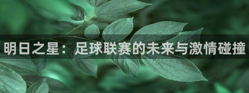 明日之星：足球联赛的未来与激情碰撞