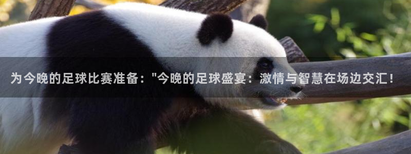 为今晚的足球比赛准备：\