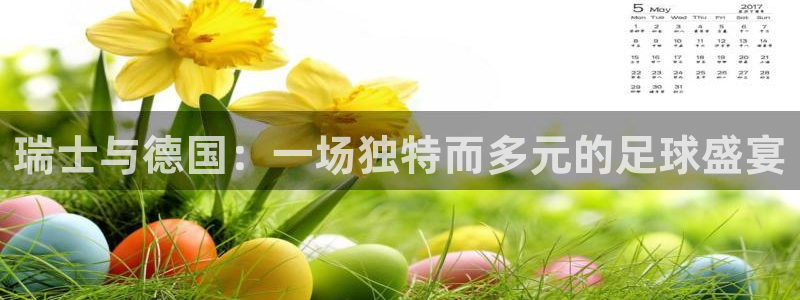 瑞士与德国：一场独特而多元的足球盛宴