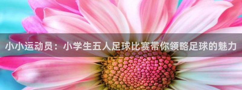  小小运动员：小学生五人足球比赛带你领略足球的魅力